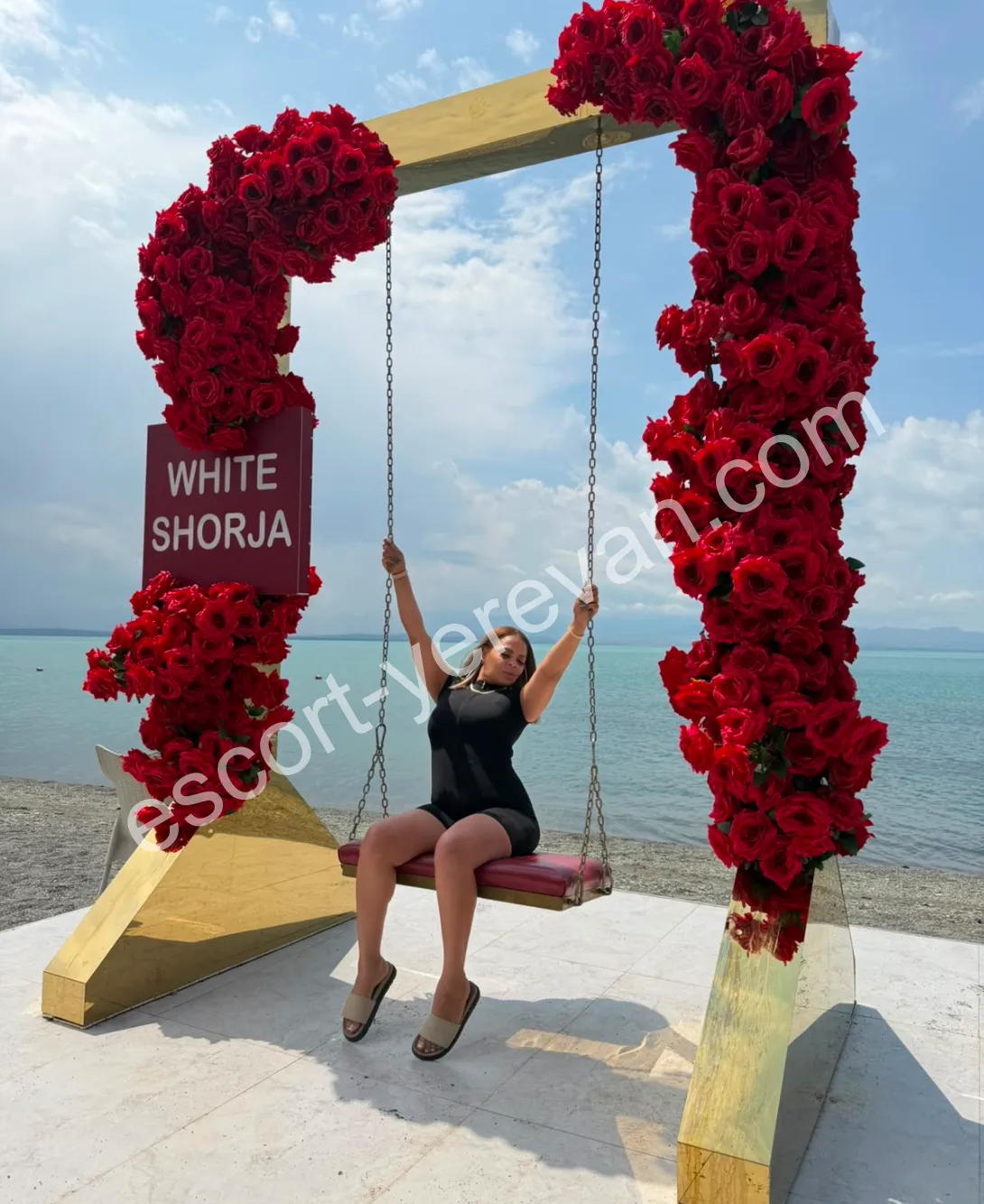 Rosa 35